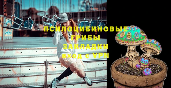 прущая мука Алзамай