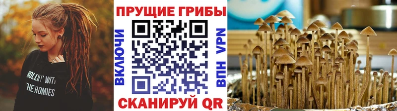 mega маркетплейс  Шахунья  Псилоцибиновые грибы ЛСД 
